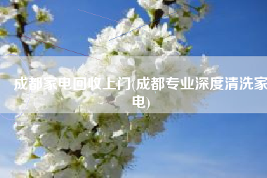 成都家电回收上门(成都专业深度清洗家电)
