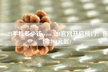 x21手机多少钱(vivo X21官网开启预约：售价2898元起)