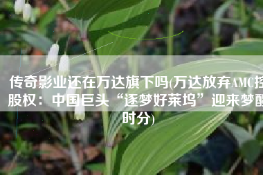 传奇影业还在万达旗下吗(万达放弃AMC控股权：中国巨头“逐梦好莱坞”迎来梦醒时分)