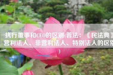 执行董事和CEO的区别(普法：《民法典》营利法人、非营利法人、特别法人的区别)