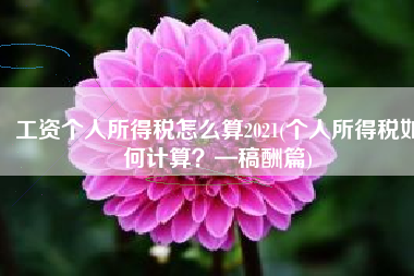工资个人所得税怎么算2021(个人所得税如何计算？—稿酬篇)