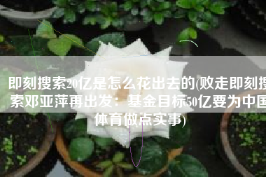 即刻搜索20亿是怎么花出去的(败走即刻搜索邓亚萍再出发：基金目标50亿要为中国体育做点实事)