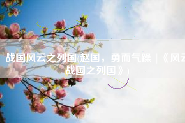 战国风云之列国(赵国，勇而气躁 |《风云战国之列国》)