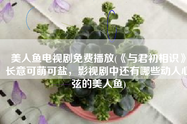 美人鱼电视剧免费播放(《与君初相识》长意可萌可盐，影视剧中还有哪些动人心弦的美人鱼)