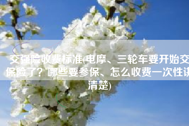 交强险收费标准(电摩、三轮车要开始交保险了？哪些要参保、怎么收费一次性讲清楚)