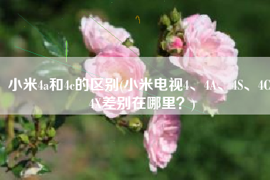 小米4a和4c的区别(小米电视4、4A、4S、4C、4X差别在哪里？)