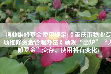 物业维修基金使用规定(《重庆市物业专项维修资金管理办法》新规“出炉”“大修基金”交存、使用将有变化)