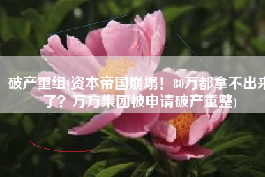 破产重组(资本帝国崩塌！80万都拿不出来了？万方集团被申请破产重整)