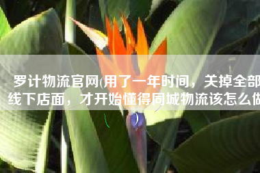 罗计物流官网(用了一年时间，关掉全部线下店面，才开始懂得同城物流该怎么做)