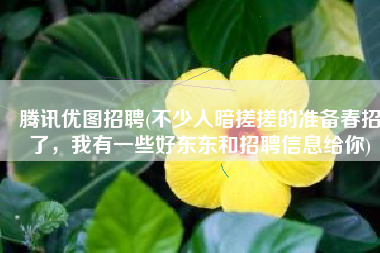 腾讯优图招聘(不少人暗搓搓的准备春招了，我有一些好东东和招聘信息给你)