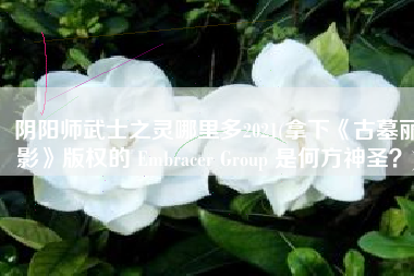 阴阳师武士之灵哪里多2021(拿下《古墓丽影》版权的 Embracer Group 是何方神圣？)