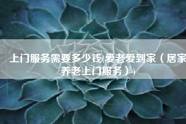 上门服务需要多少钱(爱老爱到家（居家养老上门服务）)