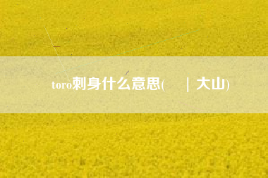 toro刺身什么意思(鮨 | 大山)