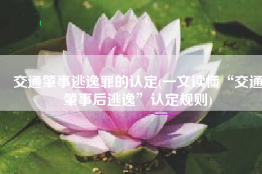 交通肇事逃逸罪的认定(一文读懂“交通肇事后逃逸”认定规则)