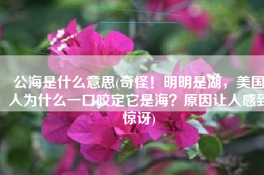 公海是什么意思(奇怪！明明是湖，美国人为什么一口咬定它是海？原因让人感到惊讶)