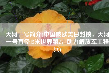 天河一号简介(中国破欧美日封锁，天河一号直径15米世界第2，助力解放军工程兵)