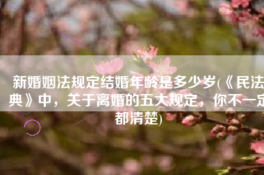 新婚姻法规定结婚年龄是多少岁(《民法典》中，关于离婚的五大规定，你不一定都清楚)
