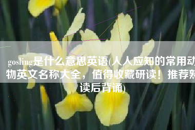 gosling是什么意思英语(人人应知的常用动物英文名称大全，值得收藏研读！推荐熟读后背诵)