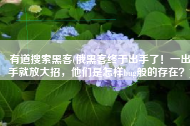 有道搜索黑客(俄黑客终于出手了！一出手就放大招，他们是怎样bug般的存在？)