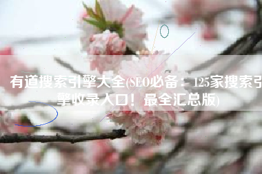 有道搜索引擎大全(SEO必备：125家搜索引擎收录入口！最全汇总版)