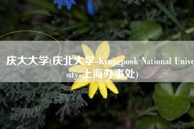 庆大大学(庆北大学-Kyungpook National University-上海办事处)