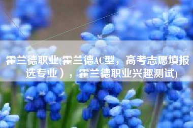 霍兰德职业(霍兰德AC型，高考志愿填报（选专业），霍兰德职业兴趣测试)