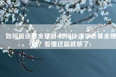 如何投资基金理财(如何快速学会基金理财？看懂这篇就够了)