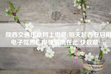 陕西交通违章网上缴费(明天起西安启用电子驾照！申领指南在此 快收藏→)