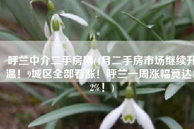 呼兰中介二手房网(4月二手房市场继续升温！9城区全部看涨！呼兰一周涨幅竟达1.2%！)