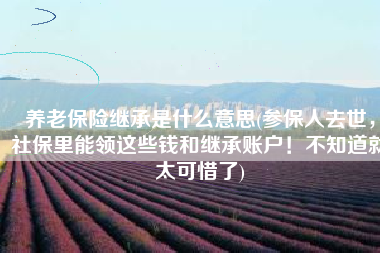 养老保险继承是什么意思(参保人去世，社保里能领这些钱和继承账户！不知道就太可惜了)