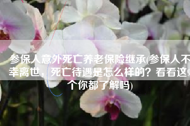 参保人意外死亡养老保险继承(参保人不幸离世，死亡待遇是怎么样的？看看这9个你都了解吗)