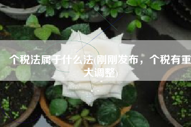个税法属于什么法(刚刚发布，个税有重大调整)
