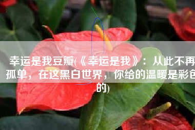 幸运是我豆瓣(《幸运是我》：从此不再孤单，在这黑白世界，你给的温暖是彩色的)