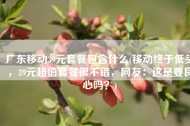 广东移动39元套餐包含什么(移动终于低头，39元超值套餐很不错，网友：这是要良心吗？)