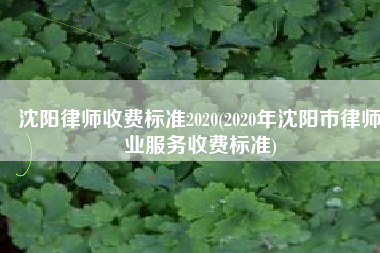 沈阳律师收费标准2020(2020年沈阳市律师业服务收费标准)