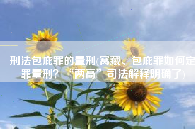 刑法包庇罪的量刑(窝藏、包庇罪如何定罪量刑？“两高”司法解释明确了)