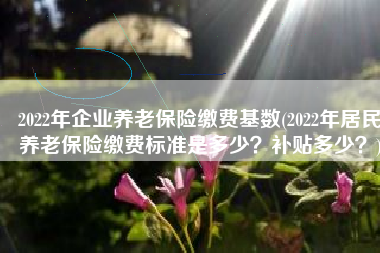 2022年企业养老保险缴费基数(2022年居民养老保险缴费标准是多少？补贴多少？)