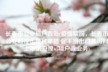 长春市公安局户政处(疫情期间，长春市公安局推出便民举措 你不用出门就可网上申请办理65项户政业务)