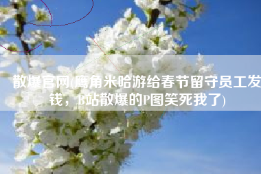 散爆官网(鹰角米哈游给春节留守员工发钱，B站散爆的P图笑死我了)