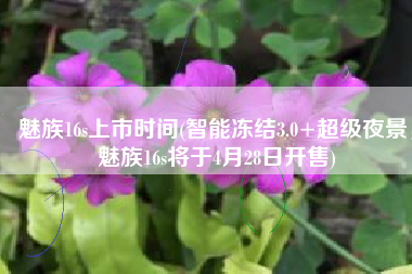 魅族16s上市时间(智能冻结3.0+超级夜景，魅族16s将于4月28日开售)