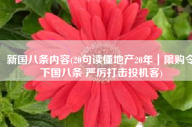 新国八条内容(20句读懂地产20年｜限购令下国八条 严厉打击投机客)
