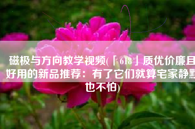 磁极与方向教学视频(「618」质优价廉且好用的新品推荐：有了它们就算宅家静默也不怕)