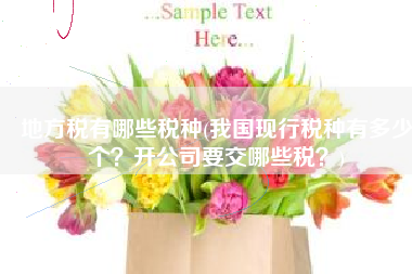 地方税有哪些税种(我国现行税种有多少个？开公司要交哪些税？)