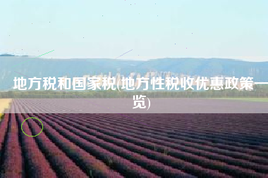 地方税和国家税(地方性税收优惠政策一览)