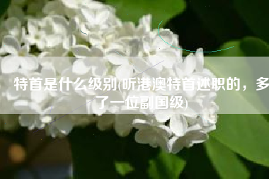 特首是什么级别(听港澳特首述职的，多了一位副国级)