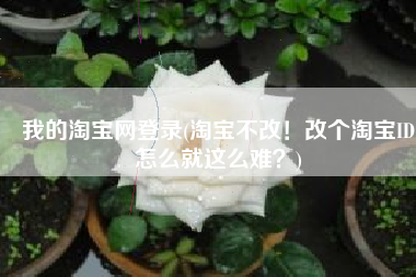 我的淘宝网登录(淘宝不改！改个淘宝ID怎么就这么难？)
