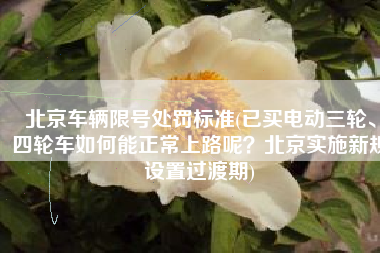 北京车辆限号处罚标准(已买电动三轮、四轮车如何能正常上路呢？北京实施新规设置过渡期)