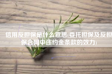 信用反担保是什么意思(委托担保及反担保合同中违约金条款的效力)