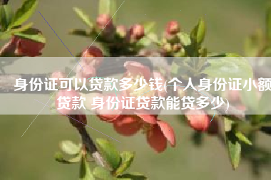 身份证可以贷款多少钱(个人身份证小额贷款 身份证贷款能贷多少)
