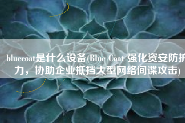 bluecoat是什么设备(Blue Coat 强化资安防护力，协助企业抵挡大型网络间谍攻击)
